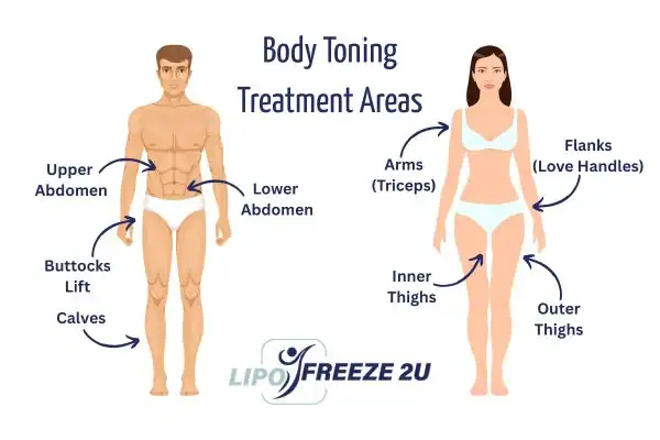 Graphic showing where you can have Body toning Treatment Uttoxeter on your body